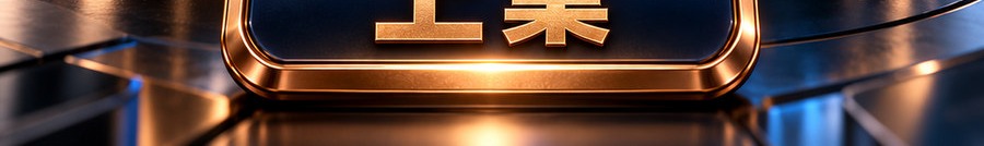 Turbo Flow；2 [physical coin engraved $] 即可开启；最高可放大千倍；30秒；上桌